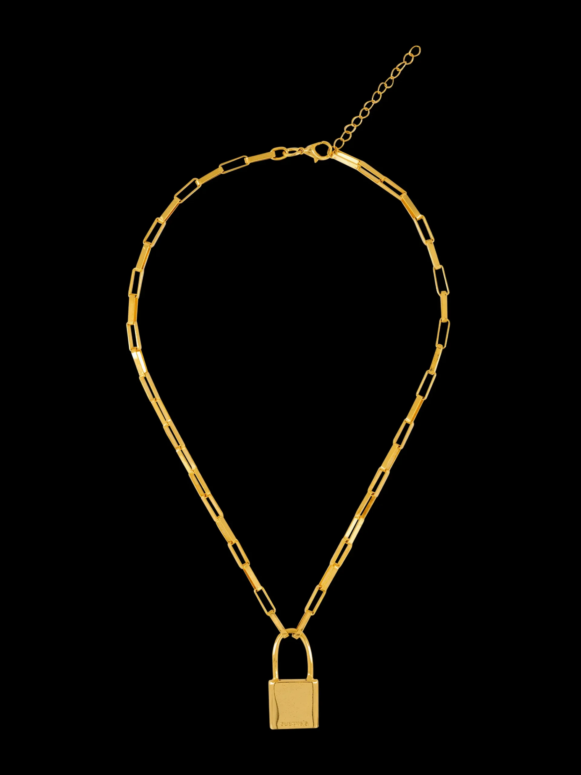 Susmie's Locked Heart Necklace< Golden