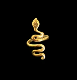 Susmie's Not from my Aunty Ring< Golden